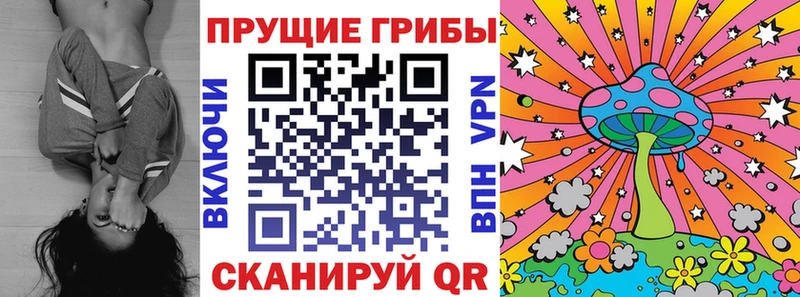 Псилоцибиновые грибы Psilocybe  Белово 