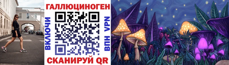 Псилоцибиновые грибы Psilocybe Белово